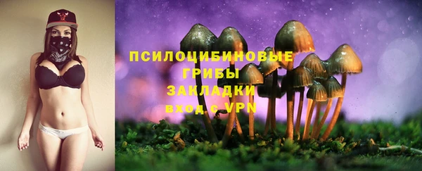 ГАЛЛЮЦИНОГЕННЫЕ ГРИБЫ Абдулино