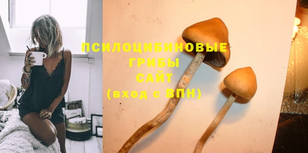 каннабис Абаза