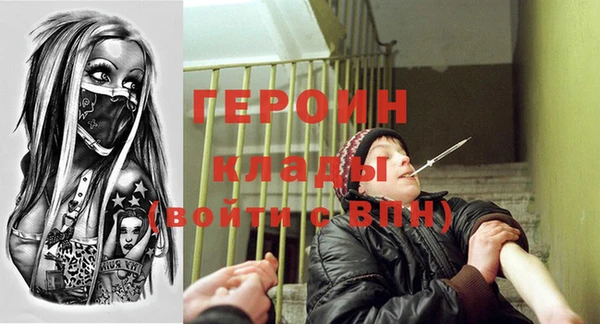 твердый Гусев